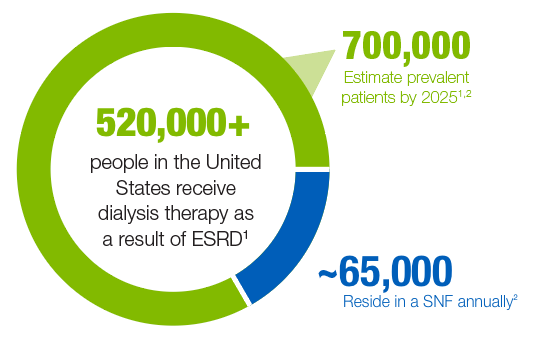 End-Stage Renal Disease (ESRD) Patient Population in Nursing Homes